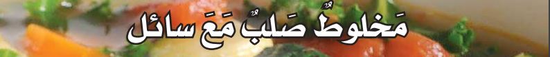 مخلوط صلب مع سائل